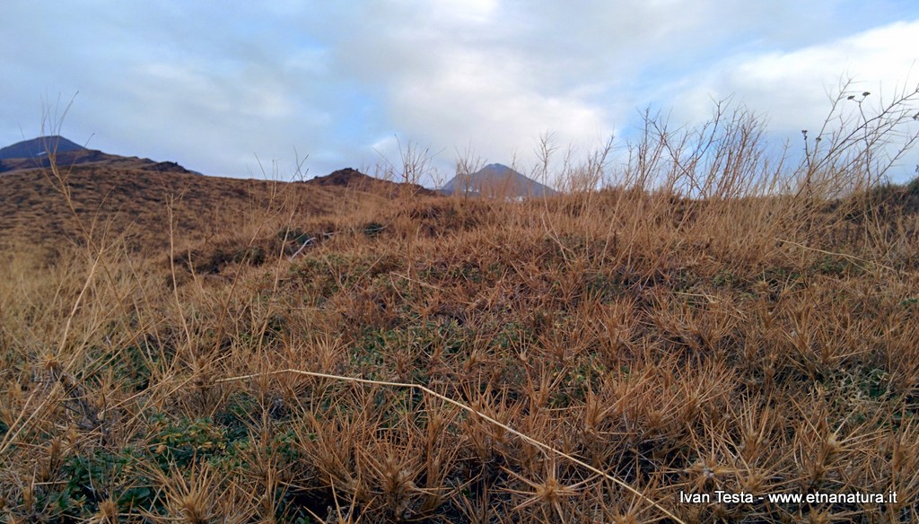 Schiena_dell_Asino - 30-11-2014 07-32-13.jpg